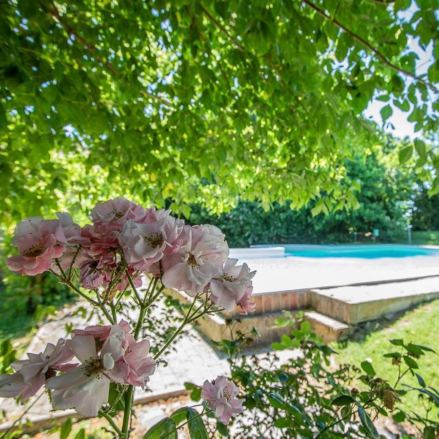 Apartmán Borgo Del Nibbio Porto Levante Exteriér fotografie