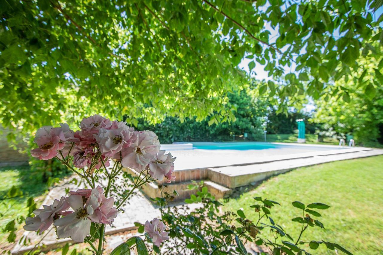 Apartmán Borgo Del Nibbio Porto Levante Exteriér fotografie